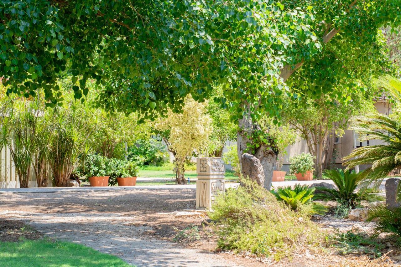 Aliyah Return Center Bed & Breakfast Degania Bet Exterior photo